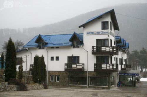 Hotel All Times Timișu de Jos Eksteriør billede