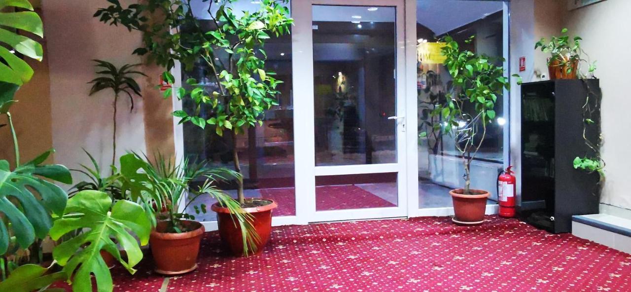 Hotel All Times Timișu de Jos Eksteriør billede