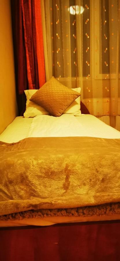 Hotel All Times Timișu de Jos Eksteriør billede