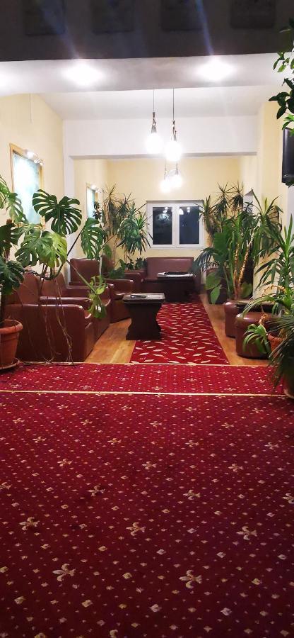 Hotel All Times Timișu de Jos Eksteriør billede