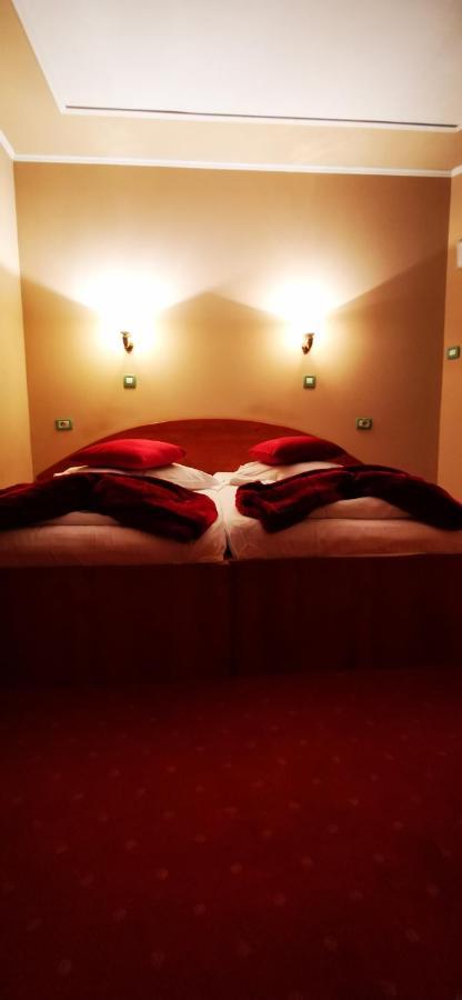 Hotel All Times Timișu de Jos Værelse billede