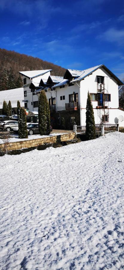 Hotel All Times Timișu de Jos Eksteriør billede